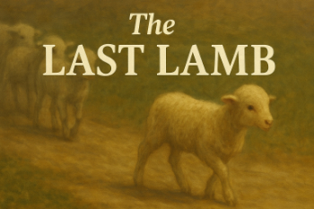The Last Lamb Message Image